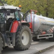 guelle_mist01