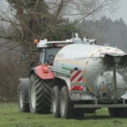guelle_mist03