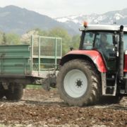 guelle_mist06